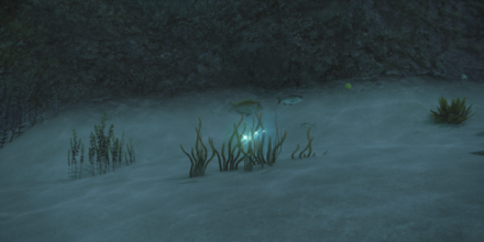 無人島のスキッドの入手オブジェクト画像