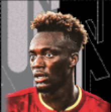 HPタミーエイブラハム(パック)画像