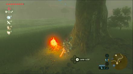 木の下で焚き火