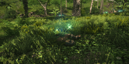 アイルパンプキンの種の入手オブジェクト画像