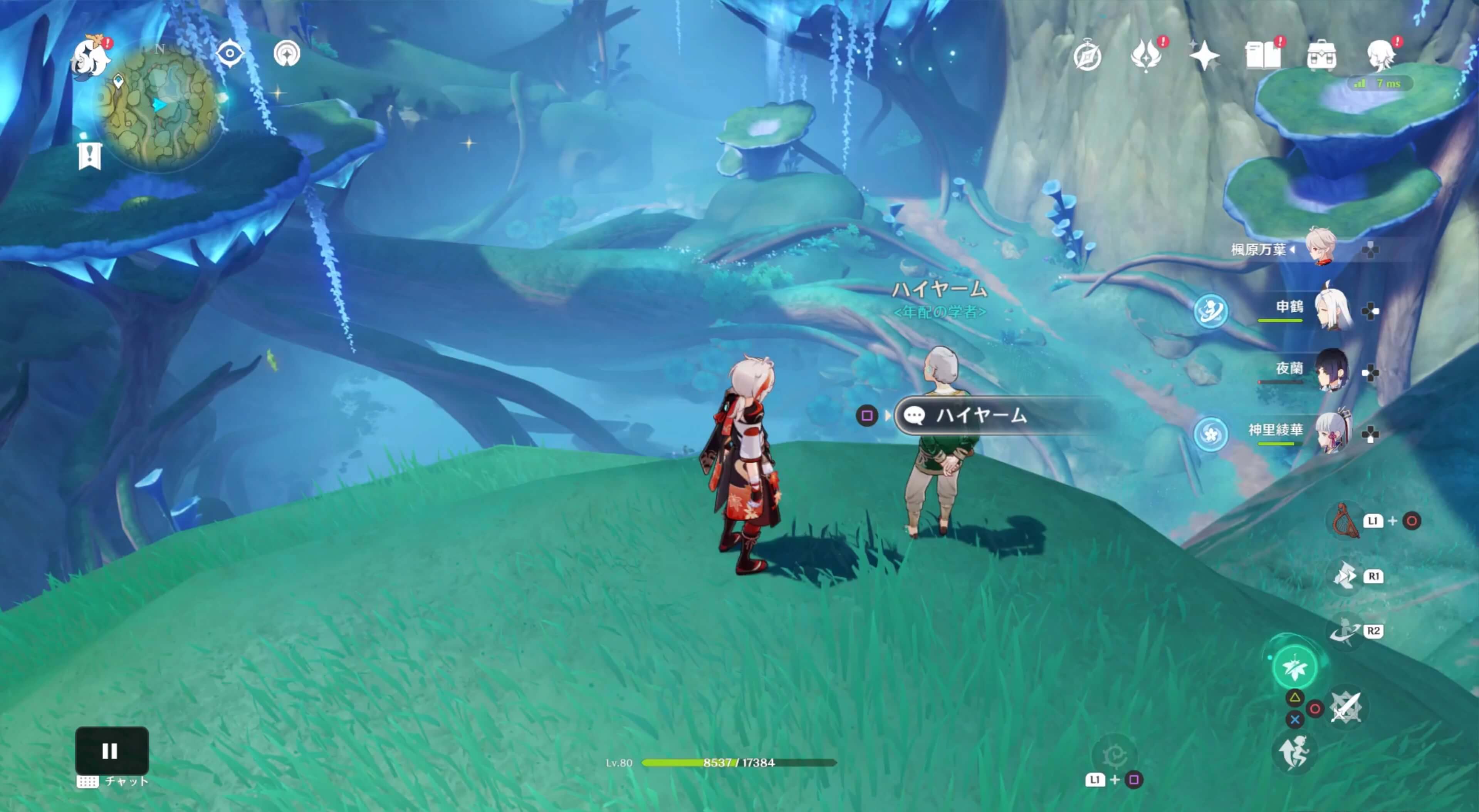 ハイヤームがいる場所