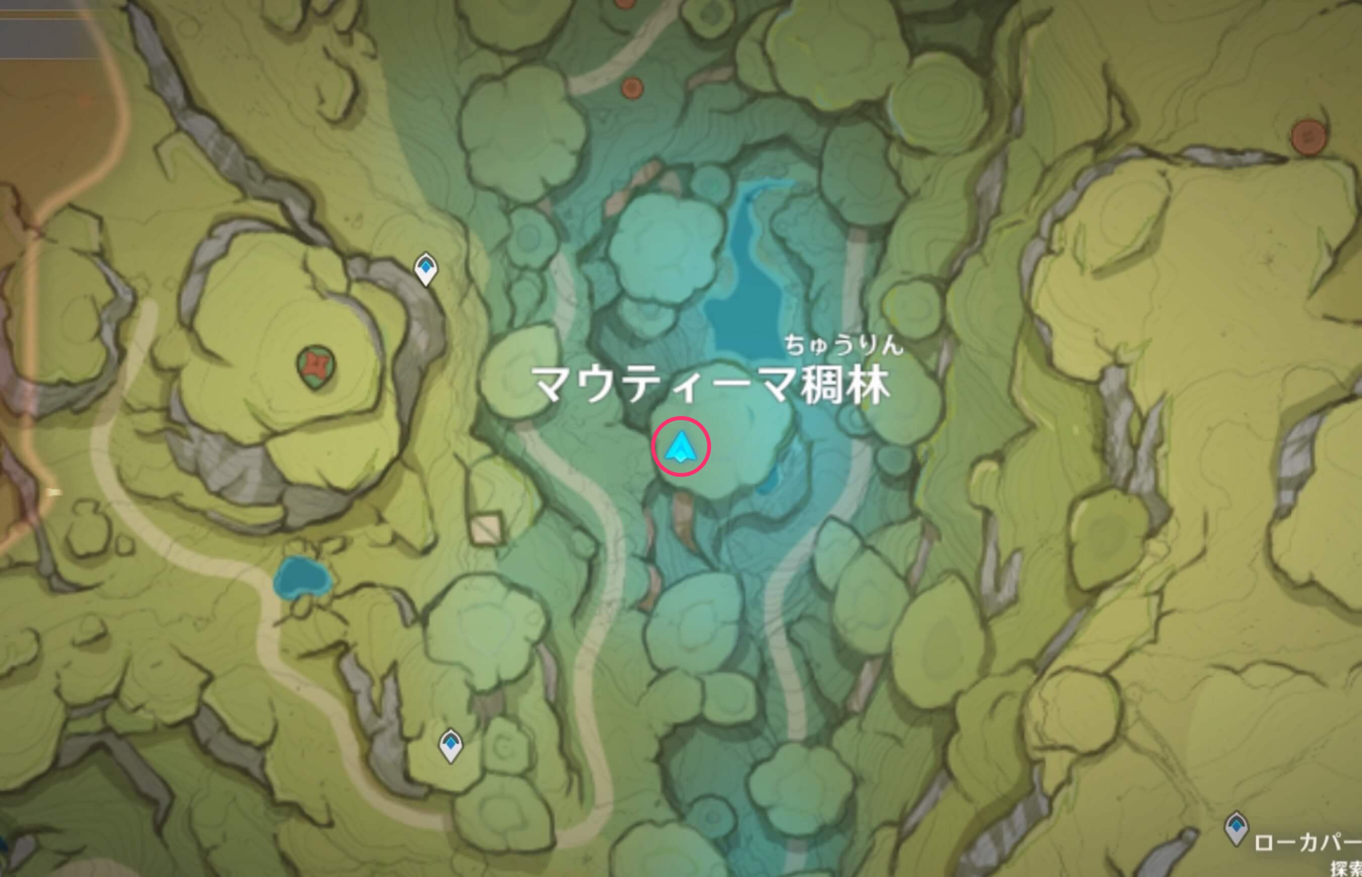 ハイヤームがいる場所