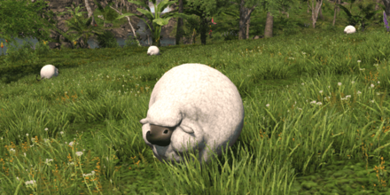 シープの画像