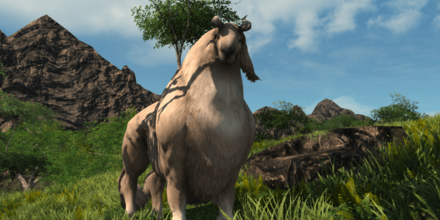 アイランド・ナニーの画像