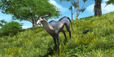 アイランド・ドゥの画像