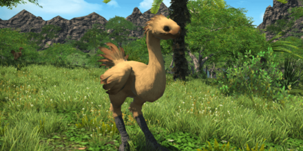 チョコボの画像