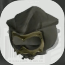 イカカゲマスク甲画像