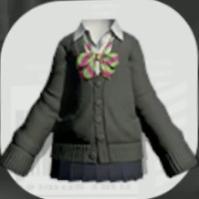 スクールカーデリボン画像