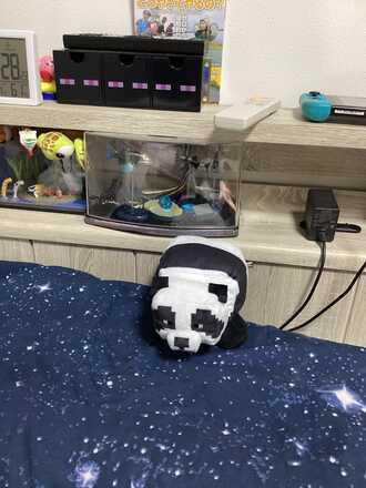 コメント画像