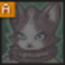 サモン ウィッチ キャット