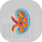 だんめんもけいK画像