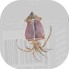 ミステリーファイル21画像