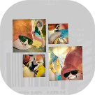 ミステリーファイル14画像