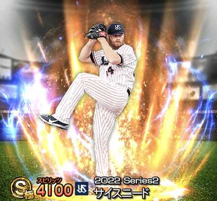 サイスニード画像