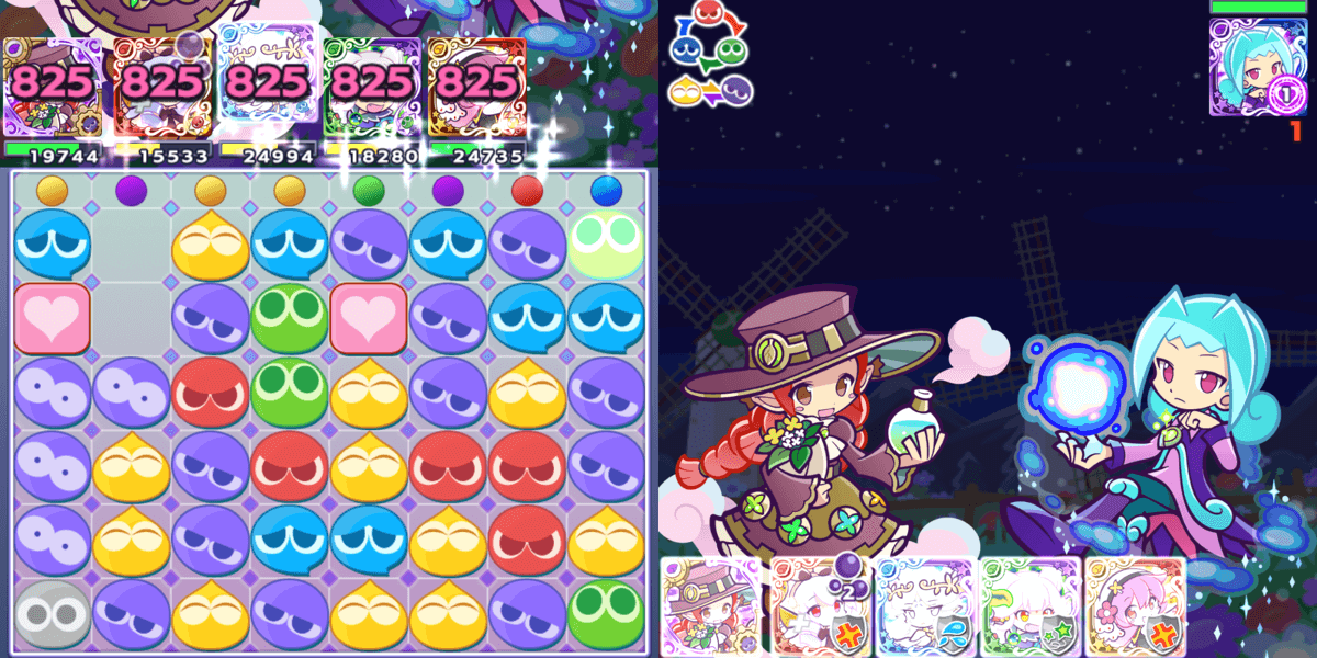 チコリダスキ