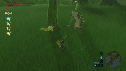 竜骨ボコ槍の場所画像