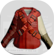 パラシューターザクロ画像