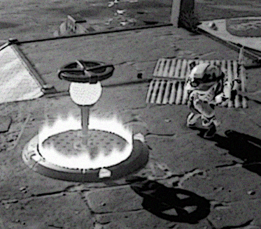 キンシャケ探し