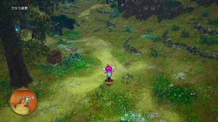 ドルボードの燃料