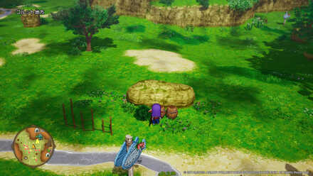 レーンの村ちいさなメダル入手場所詳細