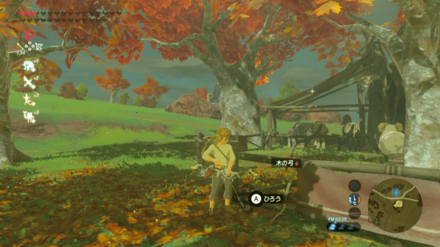 木の弓の場所画像