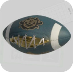 ガチアサリ画像