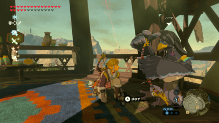 オオワシの弓の場所画像