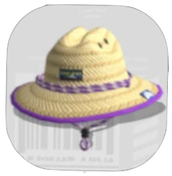 ストローハット画像