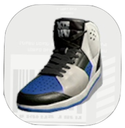 エギング4アオクロ画像