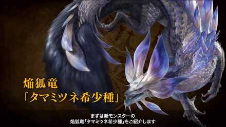 タマミツネ希少種