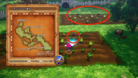 カミハルムイ領北のたまねぎマン