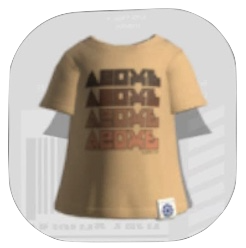 リイシューTブラウン画像