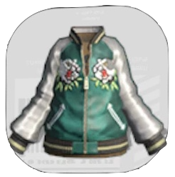 イカスカジャン画像