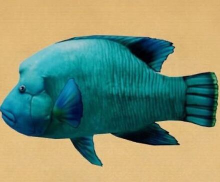 ブルーナポレオン