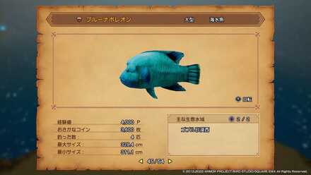 全部で「65」種類の魚が存在