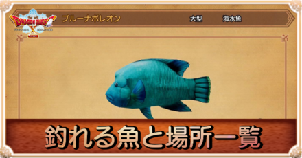 釣れる魚と場所一覧