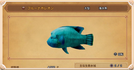 魚の釣れる場所一覧