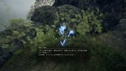 収集要素の一つ