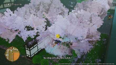 王都カミハルムイ北ちいさなメダル入手場所詳細