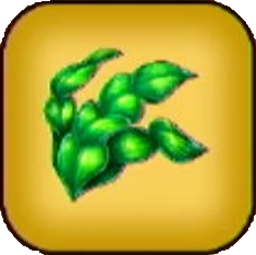 みかわしそう画像