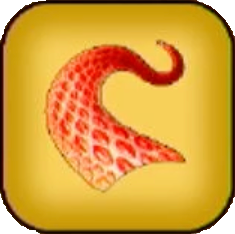 へびのぬけがら画像