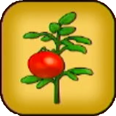 びっくりトマト画像