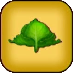 しゃっきりレタス画像