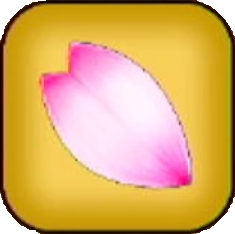 さくらの花びら画像