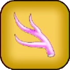 きれいな枝画像