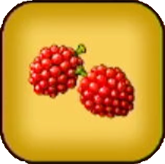 レッドベリー画像