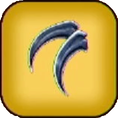 するどい爪画像