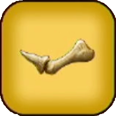 小さなホネ画像