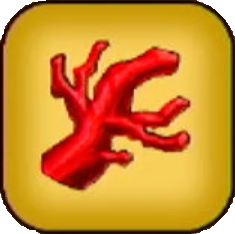 赤いサンゴ画像