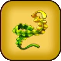 ふしぎな海草画像